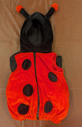 Dream play imagine ladybug - dream,
