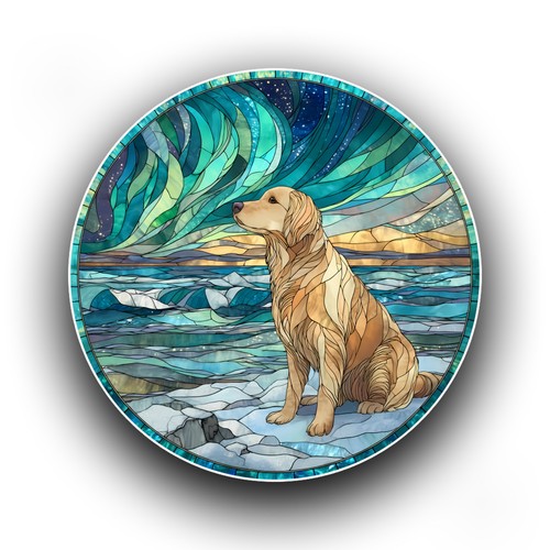 Labrador dog northern - labrador,