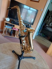 Alto saxophone trevor james - alto,