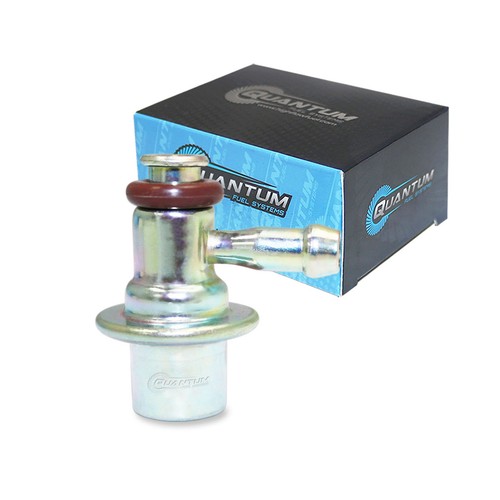 Fuel pressure regulator for - fuel,