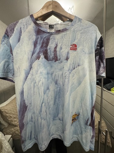 Supreme the north face t - x,