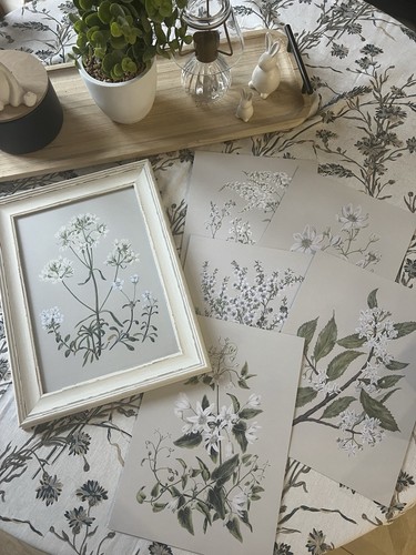 Botanical feature wall - wall, print