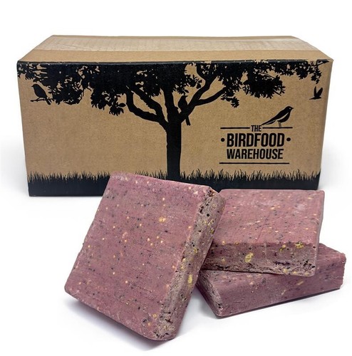 Fruit berry suet blocks - fruit,