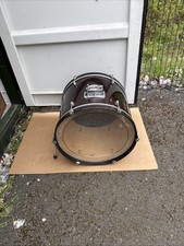 22”. 22x16” Tiger Bass