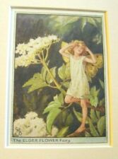 Vintage Flower Fairies Print &
