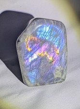 Stunning, rainbow Flash