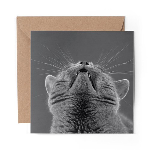Blank greeting card - 1,