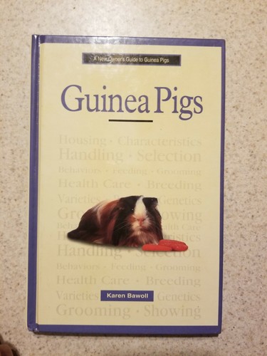 Guinea pigs - guinea,