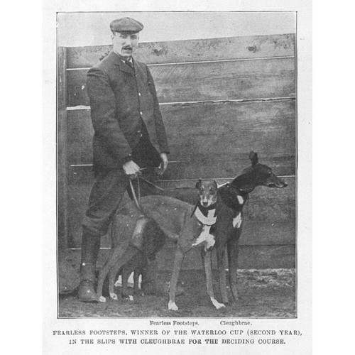 Coursing fearless footsteps - fearless,