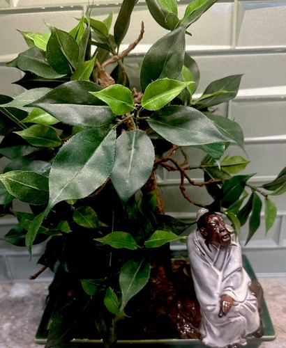 Faux weeping fig ficus bonsai - fig,