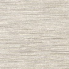 Caravan Wallboard Canton 2440