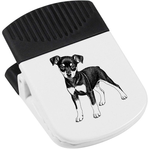 Miniature pinscher puppy - 'miniature,