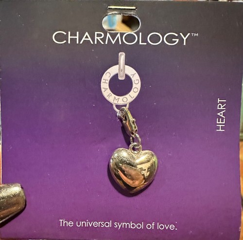 Charmology charm heart love - charm,