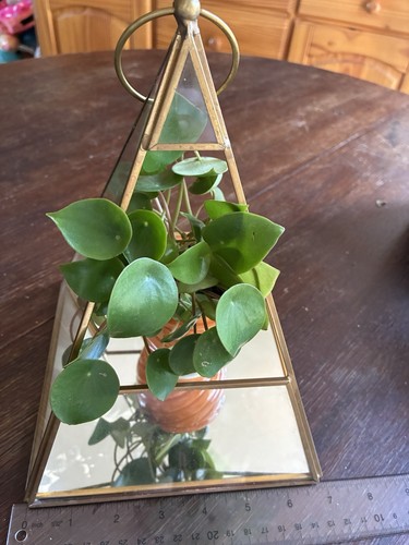 West elm glass and metal - west,