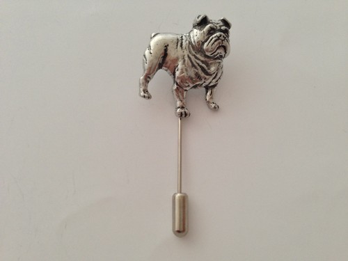 D14 bulldog english - bulldog,