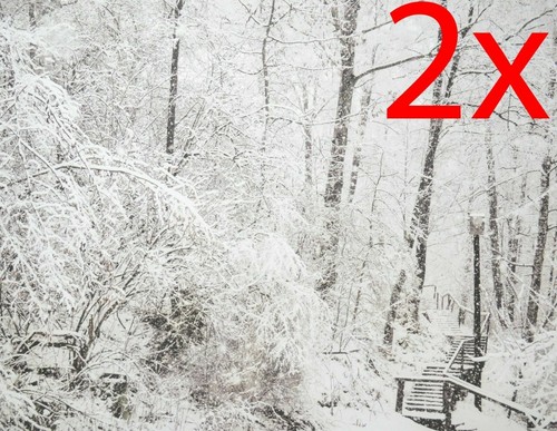 New snow steps - 2x, canvas
