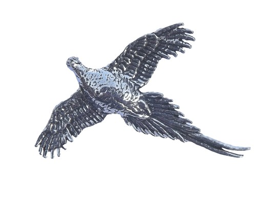 High pheasant bird - bird, hand