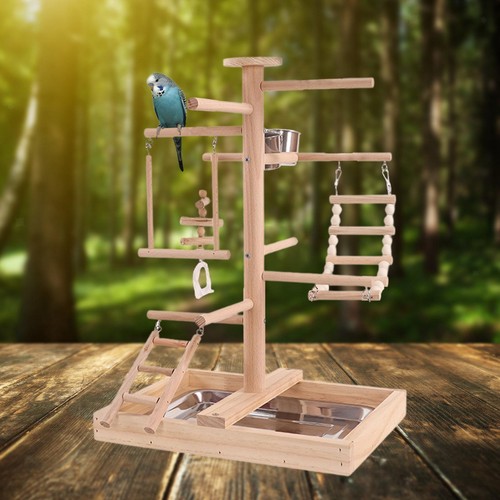 Solid wood parrot stand bird - parrot,