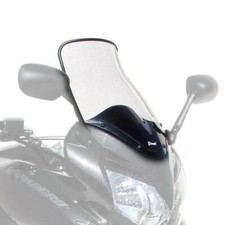 Ermax Touring Screen