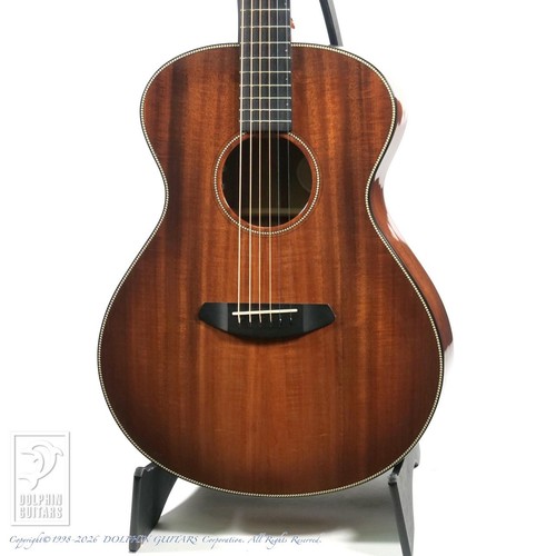 Breedlove florida concert - florida,
