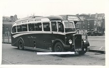 446  Coach Photo -  Royal Blue, Devon.  Fleet no. 1230,  reg. no. KOD365.