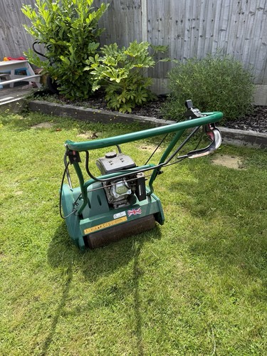 Allett classic 17l petrol - allett,