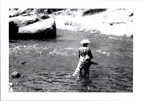 Vintage black white - black, photo