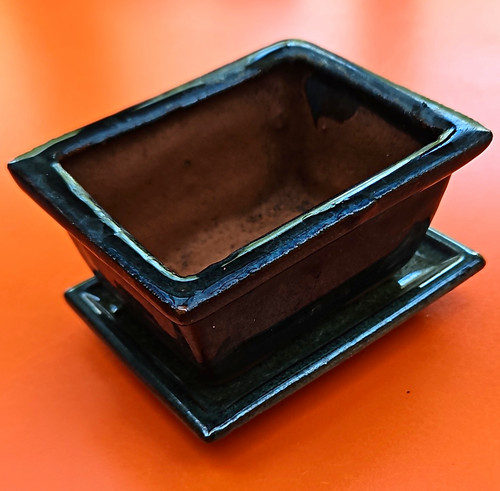 Rectangular bonsai pot - rectangular,