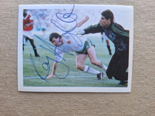 Ray houghton republic - houghton,
