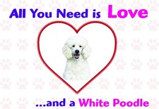 Funny Love and a WHITE POODLE
