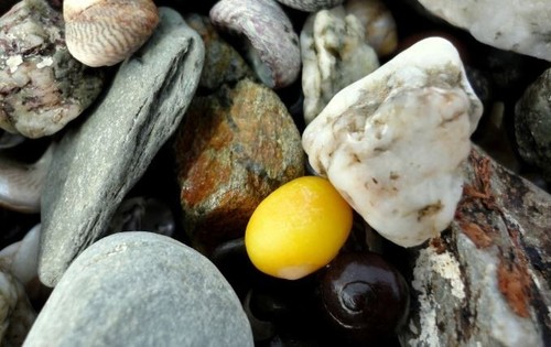 Natural bright yellow - natural,