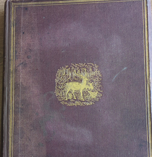 History the forest of - forest,