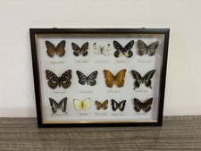 Stunning Collection of 14 Real