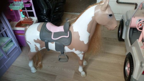 Our generation horse used - generation,