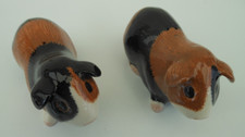 Quail Pottery Guinea Pig cruet set - unused