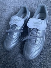 Limited Edition Silver Puma