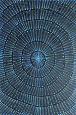 Mary Rumble Pitjara.Highly