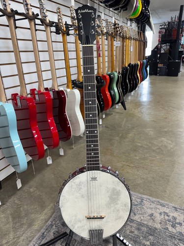 Washburn americana series - washburn,