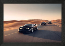 Bugatti Veyron and Chiron