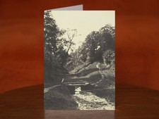 Scene near Godalming, Surrey -