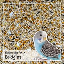 Budgie Seed Mix 1kg – Natural Treat for Budgerigars – SeedzBox Bird Food