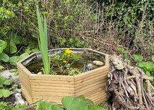 Small raised garden pond - raised,