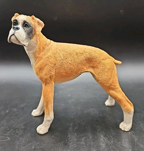 Castagma italy boxer dog - castagma,