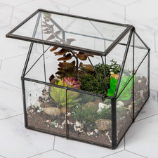 Glass plant terrarium - glass,