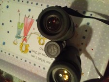  Swarovski 1 0 x 42 binoculars