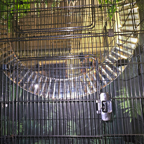 Chatsworth large rodent cage - chatsworth,
