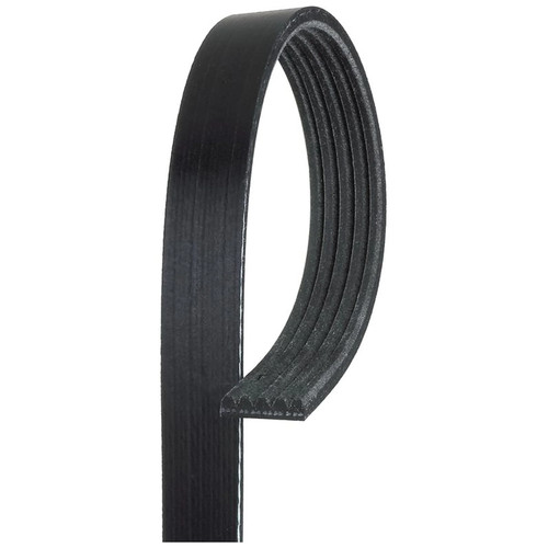 Gates multi ribbed - multi, drive