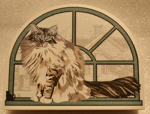 Cat meow village - cat's, purebred