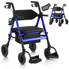 2-in-1 Wheelchair and Walking