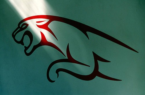 Jaguar racing detail the - jaguar, at